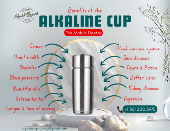 Alkaline cup